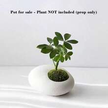 1pc Nordic Style Desktop Ceramic Flower Pot, Minimalist Textured Design. Suitable For Living Room (Placed Next To Sofa), Can Also Be Used As Ashtray, Also Suitable For Balcony Greenery Flower Pot, Seedling Pot, And Office. - Pebble Planter - View 4