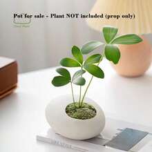 1pc Nordic Style Desktop Ceramic Flower Pot, Minimalist Textured Design. Suitable For Living Room (Placed Next To Sofa), Can Also Be Used As Ashtray, Also Suitable For Balcony Greenery Flower Pot, Seedling Pot, And Office. - Pebble Planter - View 7