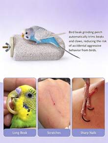 Natural Parrot Beak & Claw Grinding Perch, Multi-Function Bird Cage Toy, Suitable For Lovebirds, Small Sun Conures, Conures, Peach-Faced Lovebirds, Canaries And Other Small To Medium-Sized Birds - Multicolor - View 5