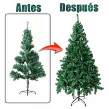 Christmas Trees - Standard 180cm - View 6