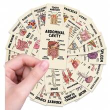 36 Cute Anatomy Organs & Cells Educational Text Cards, Learning Bento Gift Cards - Multicolor - View 2