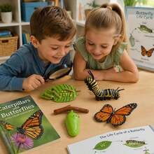 Animal & Plant Growth Cycle, Butterfly Frog Bee Seed Life Cycle Learning & Educational Toy, Children Insect Cognition Toy Gift - Multicolor - View 2