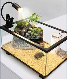 Reptile & Amphibian Habitat Lighting & Heating - Apricot - View 4