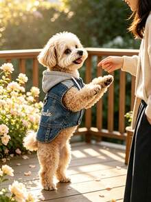 Custom Embroidered Dog Denim Jacket Vest With D-Ring Chest Strap And Hood | Personalized Puppy Denim Coat, Suitable For Small Dogs, Medium Dogs And Cats, Fits Poodles, Bichons, Teddy Dogs And Other Small Breeds - Multicolor - View 8