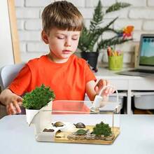 Terrariums - Apricot - View 4