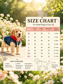 Custom Embroidered Dog Denim Jacket Vest With D-Ring Chest Strap And Hood | Personalized Puppy Denim Coat, Suitable For Small Dogs, Medium Dogs And Cats, Fits Poodles, Bichons, Teddy Dogs And Other Small Breeds - Multicolor - View 10