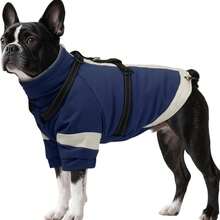 1pc Dog Coat, Soft & Warm Jacket With Sleeves And Back Zipper Design, Cold Weather Pet Clothing, Adjustable With Reflective Strip Dog Snow Suit, Equipped With Leash Attachment Ring, Suitable For Outdoor Pet Jacket, Fits Small To Medium Dogs, Navy Blue - Navy Blue - View 8