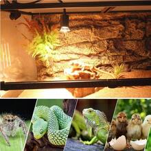 Reptile & Amphibian Habitat Lighting & Heating - Apricot - View 5