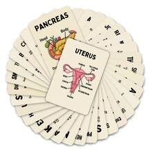 36 Cute Anatomy Organs & Cells Educational Text Cards, Learning Bento Gift Cards - Multicolor - View 7