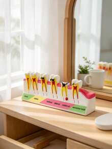 1pc Colorful Tooth Decay Progression Model, Suitable For Children's Science Exhibition Or Clinic Decoration, Avant-Garde Educational Medical Aesthetic - 1pc - View 6