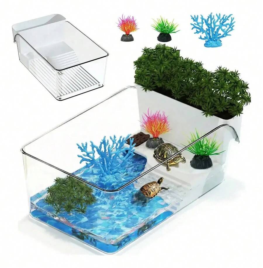 Terrariums - Apricot - View 1