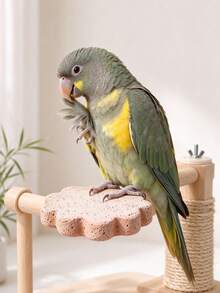 Natural Parrot Beak & Claw Grinding Perch, Multi-Function Bird Cage Toy, Suitable For Lovebirds, Small Sun Conures, Conures, Peach-Faced Lovebirds, Canaries And Other Small To Medium-Sized Birds - Multicolor - View 2
