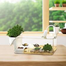 Terrariums - Apricot - View 6