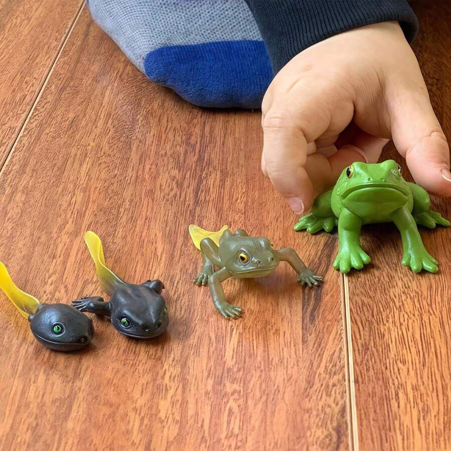 Animal & Plant Growth Cycle, Butterfly Frog Bee Seed Life Cycle Learning & Educational Toy, Children Insect Cognition Toy Gift - Multicolor - View 1