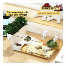 Terrariums - Apricot - View 8