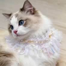 Aimeida Lace Floral Bow Pet Collar Thin Princess Style Korean Polyester Universal Cat - Multicolor - View 1