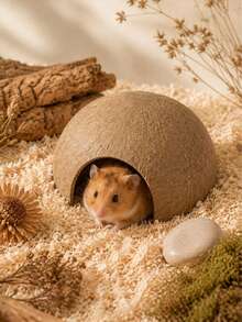 1pc Natural Coconut Shell Small Pet Hideout, Hand-Polished Semi-Circular Hamster Gnawing & Resting Nest, Small/Large Size Optional, Suitable For Hamsters, Gerbils And Rats Daily Habitat - Round - View 9