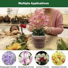 5pcs Transparent Orchid Pots, Designed For Effective Root Management With Drainage Holes And Mesh Screen, Ideal For Repotting And Gardening Flowers - A - View 5