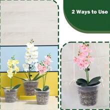 5pcs Transparent Orchid Pots, Designed For Effective Root Management With Drainage Holes And Mesh Screen, Ideal For Repotting And Gardening Flowers - A - View 9