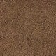 Chocolate Brown Suede - Square Buckle
