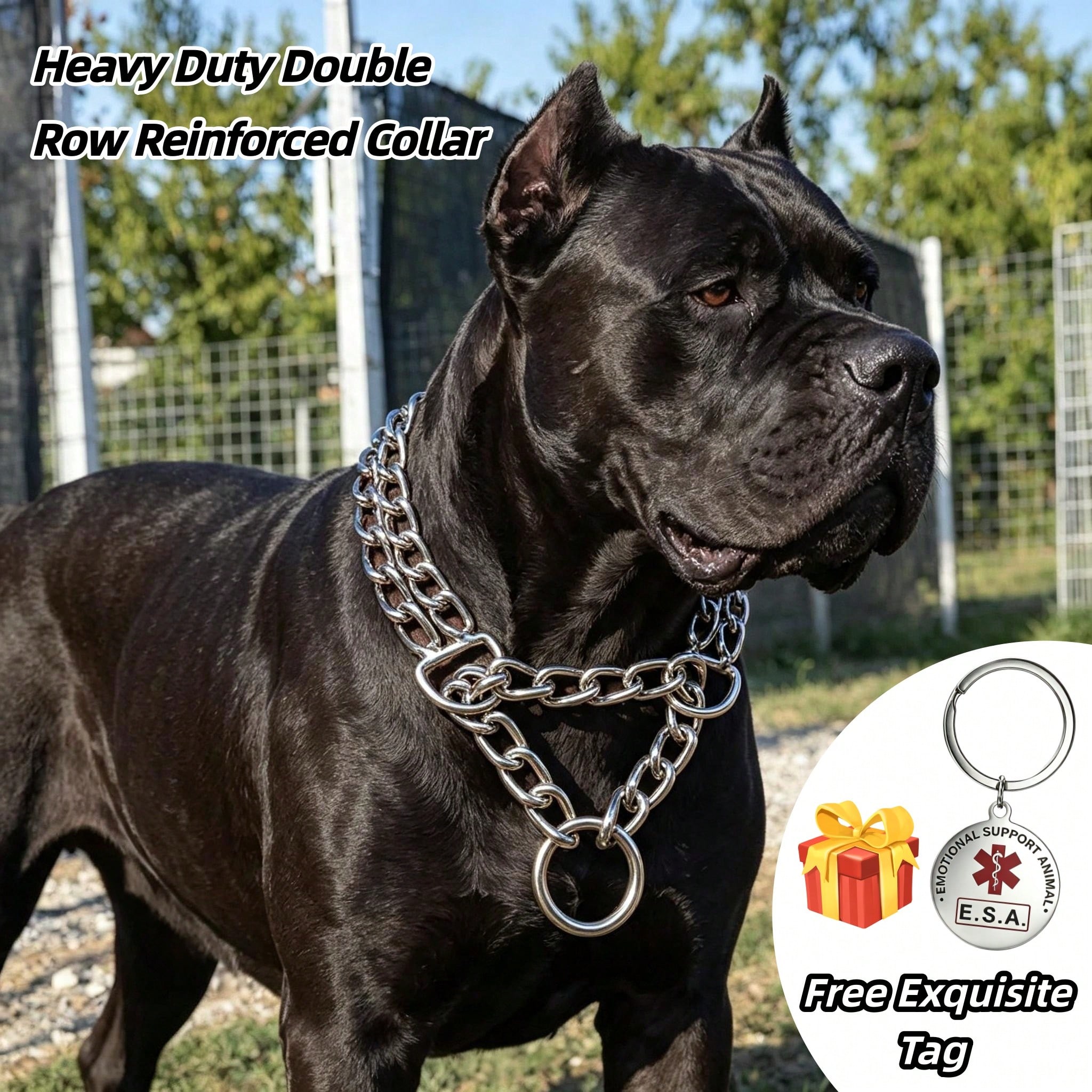 Heavy Duty Double Row Metal Dog Chain Collar, Chew-Resistant Pet Decorative Neck Chain, Sturdy Dog Leash Display Collar, Suitable For Cane Corso, Bully, Rottweiler, Mastiff, Large And Giant Dog Breeds