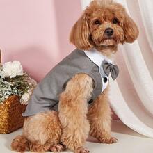 1PC Pet Dog Suit Jacket Wedding Collection Classic Button Suit For Small/Medium Dogs, Cats, For Cat And Dog Wedding Parties - Grey - View 7