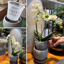 5pcs Transparent Orchid Pots, Designed For Effective Root Management With Drainage Holes And Mesh Screen, Ideal For Repotting And Gardening Flowers - A - View 4
