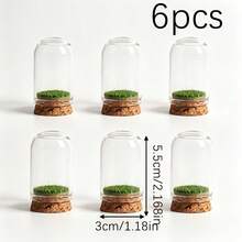 1/3/6pcs Mini Glass Lantern Jars With Cork Base And Artificial Grass Display Canopy, Suitable For DIY Miniature Scene Crafts - Upgraded Version - View 8