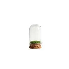 1/3/6pcs Mini Glass Lantern Jars With Cork Base And Artificial Grass Display Canopy, Suitable For DIY Miniature Scene Crafts - Upgraded Version - View 9