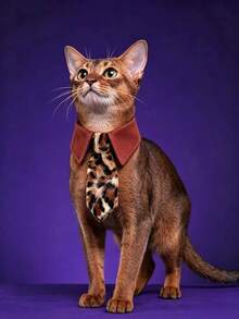 1 Pc Vintage Pet Shirt Collar With Fuzzy Leopard Print Tie, Snap‑On Adjustable Neck Collar, Cool Dress‑Up Accessory For Cats & Small Dogs, Photo Prop - Mocha Brown - View 6