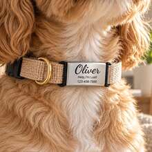 TONGFANTECH Custom Pet Engraved Personalized Pet Tag ID Engraved Name Collar Bone Tag Stainless Steel Engraved Dog Tag Cat Tag Pendant - Multicolor - View 8