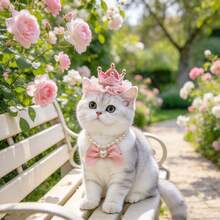 2 Pieces Set Of Light Luxury Princess Style Pink/Yellow Lace Crown Pearl Love Bow Pet Hair Accessory Necklace Set For Cat/Small Dog Birthday Party/Daily Photo Birthday Accessories - Multicolor - View 9