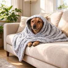 Bone Print Pet Blanket, Super Soft Plush Dog & Cat Blanket, Comfortable Wrap, 5 Sizes, Machine Washable - L: 100*160CM - View 8