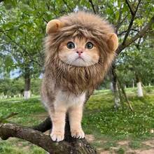 Cat Lion Head Costume, Cute Funny Pet Outfit, Cat Dog Hat Khaki Color Realistic Head Cover, Warm Fleece Lining For Winter - Khaki - View 5