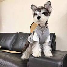 1 buah Pakaian Hewan Peliharaan, Busana Hewan Peliharaan, Kaos Schnauzer 2 in 1, Gaya Baru Musim Gugur, Gaya Inggris yang Bernapas, Pakaian Hewan Peliharaan Anjing Kecil - Grey - View 4