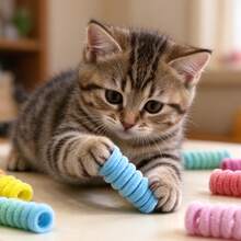 5/8/10/18/28/36/45/50pcs Random Color Cute Cat Spiral Toys, Colorful Macaron Spiral Springs, Plush Spring Interactive Indoor Toy Set, Suitable For Cat Hunting, Pouncing, Chewing, Bringing Endless Fun And Exercise - Multicolor - View 11