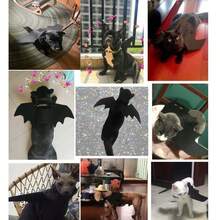 Pet Dog/ Cat Birthday Party Costume Accessory Set, Adjustable Hat And Bib Included, Cute Light‑Weight Outfit For Birthday Holiday Party Celebration - Black - View 5