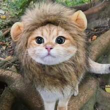 Cat Lion Head Costume, Cute Funny Pet Outfit, Cat Dog Hat Khaki Color Realistic Head Cover, Warm Fleece Lining For Winter - Khaki - View 3