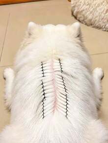 10/6/4/2 buah Pinset Pengangkat Parasit Hewan Peliharaan untuk Kucing dan Anjing, Cocok untuk Perawatan Kesehatan dan Perawatan Hewan Peliharaan Sehari-hari, Perlengkapan Hewan Peliharaan - View 5