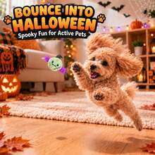 1pc Halloween Pet Bouncing Squeaky Ball, Bat Monster Shaped Dog Interactive Toy, Durable Chewing Chasing Boredom Relief Ball, Small Dog Training Play Supplies, Holiday Pet Gift - Cadet Blue - View 3