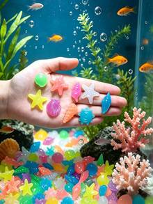 Glow In The Dark Colorful Ocean Creature Shell Starfish Conch Glowing Stones, Suitable For Aquarium Decoration, Fish Tank Accessories, Garden Path, Yard Landscape, Tank, Potted Plant Decoration Glowing Stones - Multicolor - View 6