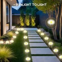 Create A Romantic Garden Night Scene With This Solar Powered Daisy Ground Light, 8LED, 12LED, 20LED Multiple Specifications Available, Warm Yellow Soft Light Healing And Soothing, Realistic Daisy Design Fresh And Elegant, Transparent Petals Bloom With Soft Glow At Night. Solar Powered Design, Automatically Absorbs Sunlight And Stores Energy During The Day, Built-In Light Sensor, Automatically Lights Up At Night, No Wiring And No Electricity Cost - Solar Ground Stake Daisy Light - View 7