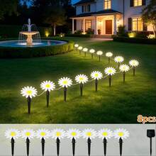 Create A Romantic Garden Night Scene With This Solar Powered Daisy Ground Light, 8LED, 12LED, 20LED Multiple Specifications Available, Warm Yellow Soft Light Healing And Soothing, Realistic Daisy Design Fresh And Elegant, Transparent Petals Bloom With Soft Glow At Night. Solar Powered Design, Automatically Absorbs Sunlight And Stores Energy During The Day, Built-In Light Sensor, Automatically Lights Up At Night, No Wiring And No Electricity Cost - Solar Ground Stake Daisy Light - View 14