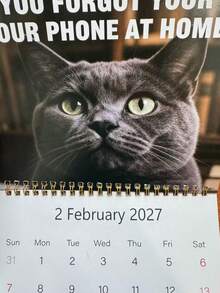 1pc 2027 Funny Cat Meme Wall Calendar, A Hanging Calendar With Witty Daily Kitten Quotes, A Time-Planning Accessory For Cat Lovers, And The Perfect Gift For Halloween, Christmas, And All Holiday Parties - Multiple Styles - View 5