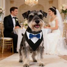 Bowknot Pet Collar, Suitable For Small Dogs, Adjustable, Formal Style, Triangle Neckline Design, Suitable For Weddings, Birthdays, Costume Parties Or Role-Play Parties. - Blue - View 6
