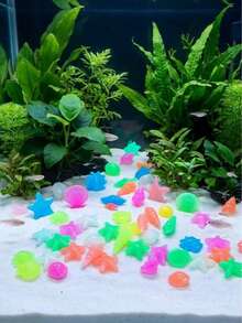 Glow In The Dark Colorful Ocean Creature Shell Starfish Conch Glowing Stones, Suitable For Aquarium Decoration, Fish Tank Accessories, Garden Path, Yard Landscape, Tank, Potted Plant Decoration Glowing Stones - Multicolor - View 5