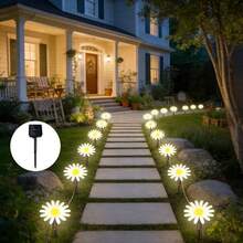 Garden Atmosphere Decor - Solar Powered Daisy Ground Lights, Available In 8LED, 12LED, 20LED Options, Warm Soft Light For Cozy Ambiance, Realistic Daisy Petals With Translucent Lightweight Design, Perfect For Nighttime Lighting. Solar Powered With Automatic Sunlight Collection And Storage, Built-In Light Sensor For Automatic Nighttime Activation, No Wiring Required, Zero Electricity Cost - Solar Ground Stake Daisy Light - View 12