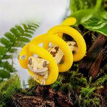 Suction Cup Hanging Flexible Silicone Reptile Spring Climbing Rack, Minimalist Fresh Bright Yellow Spiral Ring With Suction Cup Fixation For Climbing And Resting, Reptile Hide Tunnel, Reptile Tank Decor For Daily Husbandry, Crested Gecko And Arboreal Reptile Supplies - Multicolor - View 1