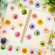 500pcs Alien Daisy Doodle Roll Stickers 1 Inch Asymmetrical Pattern Floral Seal Labels, Suitable For Envelopes, Magazines, Phone Cases, Water Bottles, Computers, Helmets, Manuals, Scrapbooks, Etc. Decorative, Holiday Party Gifts, Packaging - one-size - View 3