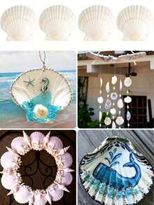 5/10 vỏ sò scallop trắng lớn giả bóng, vỏ sò đánh bóng cho đồ thủ công DIY, vẽ, trang trí đám cưới bãi biển và trang trí nhà cửa - vỏ sò lớn nhẵn bóng cho làm thủ công, trang trí chủ đề ven biển và làm trang sức vỏ sò - Nhiều kiểu dáng - Xem 6